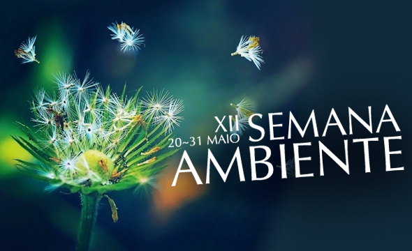 http://www.cm-estarreja.pt/ficheiros/fotos_destaques/bannerNet.jpg