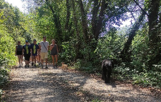 Discovering the Bocage: Guided Hike
